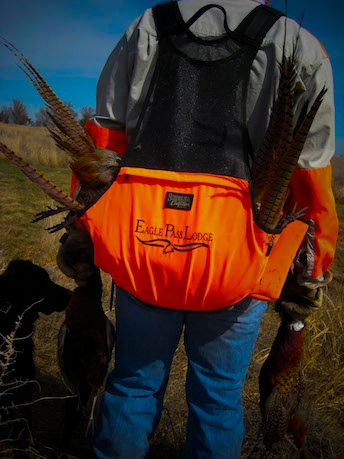 All Inclusive Pheasant Hunting Packages