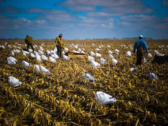Combo Hunts in South Dakota